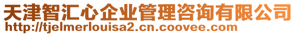 天津智匯心企業(yè)管理咨詢有限公司