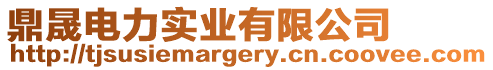 鼎晟電力實業有限公司