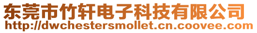 東莞市竹軒電子科技有限公司