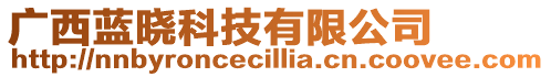 廣西藍(lán)曉科技有限公司