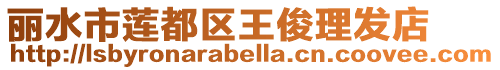 麗水市蓮都區(qū)王俊理發(fā)店