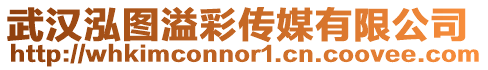 武漢泓圖溢彩傳媒有限公司