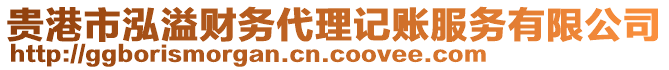 貴港市泓溢財務(wù)代理記賬服務(wù)有限公司