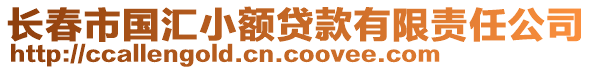 長春市國匯小額貸款有限責任公司