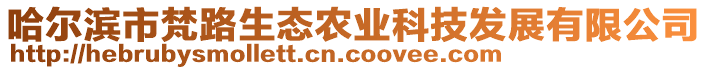 哈爾濱市梵路生態(tài)農(nóng)業(yè)科技發(fā)展有限公司