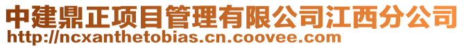 中建鼎正項目管理有限公司江西分公司