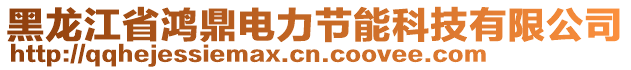 黑龍江省鴻鼎電力節(jié)能科技有限公司