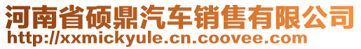 河南省碩鼎汽車銷售有限公司