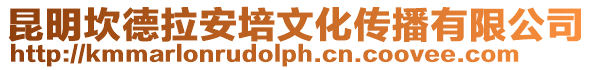 昆明坎德拉安培文化傳播有限公司