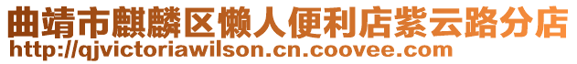 曲靖市麒麟?yún)^(qū)懶人便利店紫云路分店