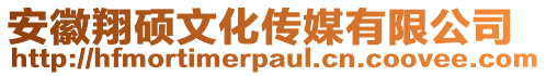 安徽翔碩文化傳媒有限公司