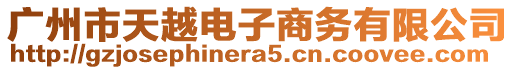 廣州市天越電子商務(wù)有限公司