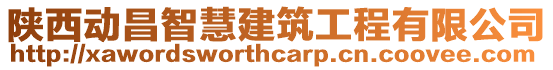 陜西動昌智慧建筑工程有限公司