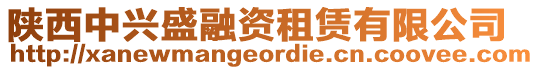 陜西中興盛融資租賃有限公司