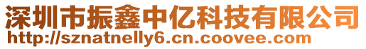 深圳市振鑫中億科技有限公司