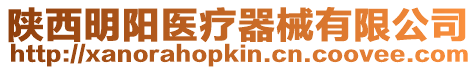 陜西明陽醫療器械有限公司
