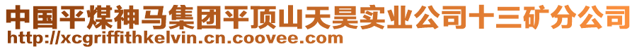 中國(guó)平煤神馬集團(tuán)平頂山天昊實(shí)業(yè)公司十三礦分公司