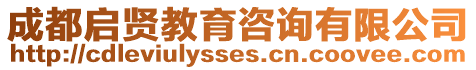 成都啟賢教育咨詢有限公司