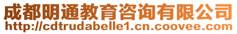 成都明通教育咨詢有限公司