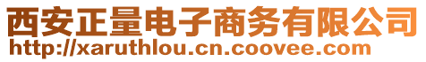 西安正量電子商務有限公司