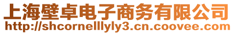 上海壁卓電子商務有限公司