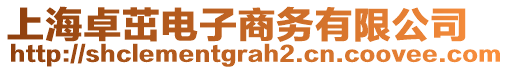 上海卓茁電子商務(wù)有限公司