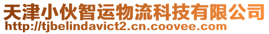 天津小伙智運物流科技有限公司