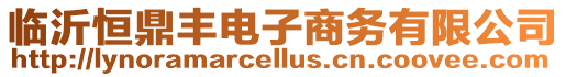 臨沂恒鼎豐電子商務有限公司