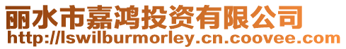 麗水市嘉鴻投資有限公司