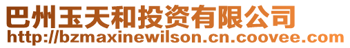 巴州玉天和投資有限公司