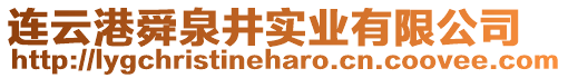 連云港舜泉井實業有限公司