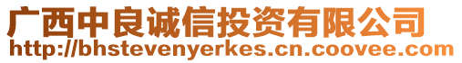 廣西中良誠信投資有限公司