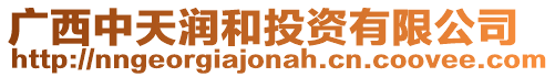廣西中天潤和投資有限公司