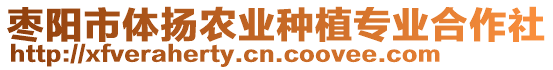 棗陽市體揚(yáng)農(nóng)業(yè)種植專業(yè)合作社