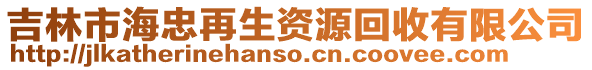 吉林市海忠再生資源回收有限公司