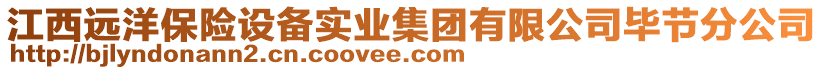 江西遠(yuǎn)洋保險(xiǎn)設(shè)備實(shí)業(yè)集團(tuán)有限公司畢節(jié)分公司