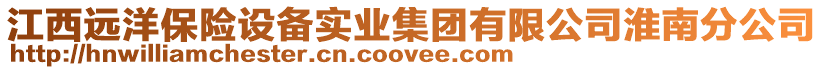 江西遠洋保險設備實業集團有限公司淮南分公司