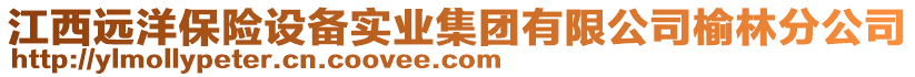 江西遠(yuǎn)洋保險(xiǎn)設(shè)備實(shí)業(yè)集團(tuán)有限公司榆林分公司