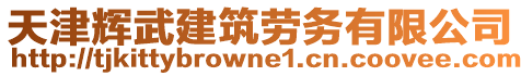 天津輝武建筑勞務(wù)有限公司