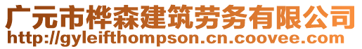 廣元市樺森建筑勞務有限公司