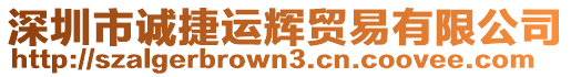 深圳市誠(chéng)捷運(yùn)輝貿(mào)易有限公司