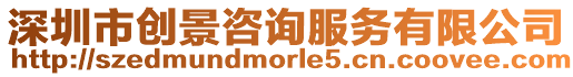 深圳市創景咨詢服務有限公司
