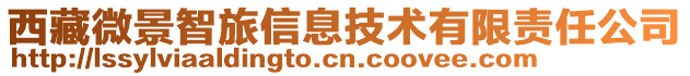 西藏微景智旅信息技術有限責任公司