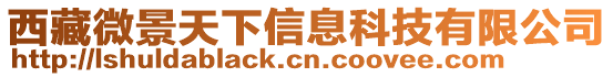 西藏微景天下信息科技有限公司