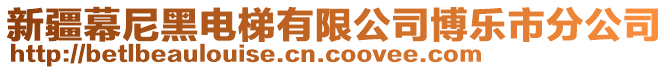 新疆幕尼黑電梯有限公司博樂市分公司