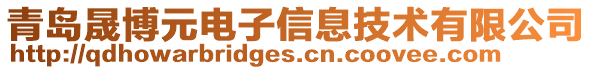 青島晟博元電子信息技術有限公司