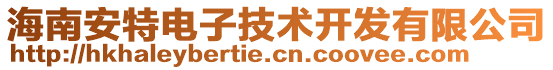 海南安特電子技術(shù)開發(fā)有限公司