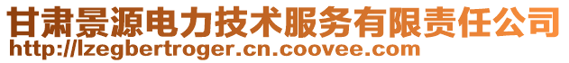 甘肅景源電力技術服務有限責任公司