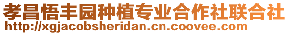 孝昌悟豐園種植專業合作社聯合社