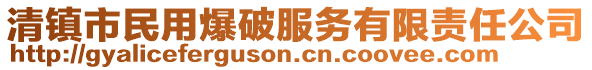 清鎮(zhèn)市民用爆破服務(wù)有限責(zé)任公司